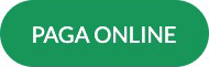 Paga online